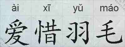 爱惜羽毛的拼音