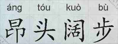 昂头阔步的拼音