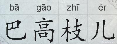 巴高枝儿的拼音