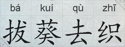 拔葵去织的拼音