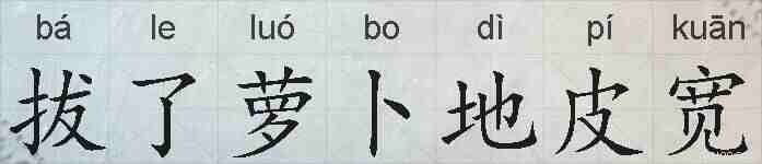 拔了萝卜地皮宽的拼音