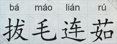拔毛连茹的拼音