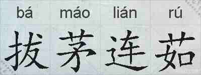 拔茅连茹的拼音