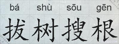 拔树搜根的拼音