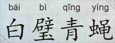 白璧青蝇的拼音