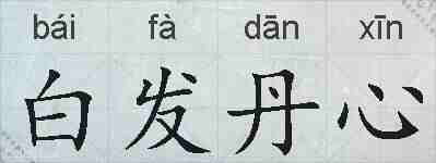 白发丹心的拼音
