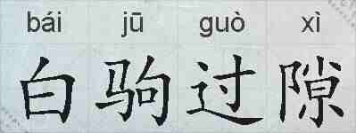 白驹过隙的拼音
