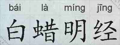 白蜡明经的拼音