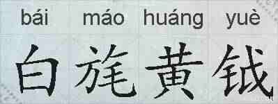 白旄黄钺的拼音