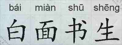 白面书生的拼音