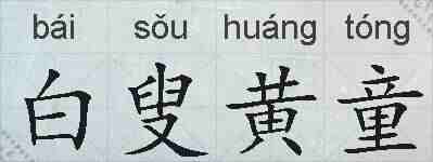 白叟黄童的拼音