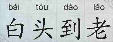 白头到老的拼音