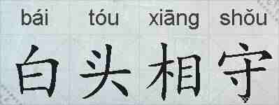 白头相守的拼音