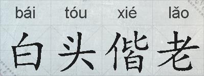 白头偕老的拼音
