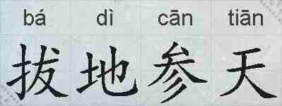 拔地参天的拼音