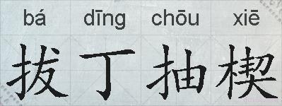 拔丁抽楔的拼音