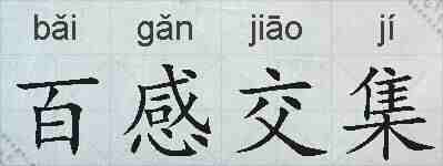 百感交集的拼音