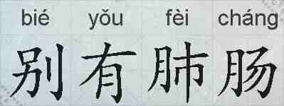 别有肺肠的拼音