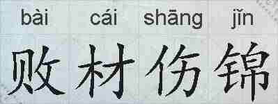 败材伤锦的拼音