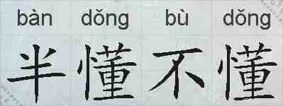 半懂不懂的拼音