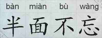 半面不忘的拼音
