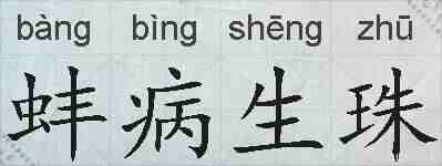 蚌病生珠的拼音