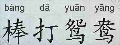 棒打鸳鸯的拼音