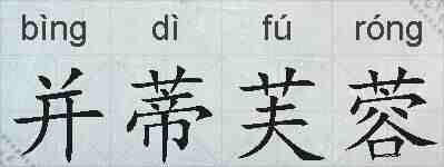 并蒂芙蓉的拼音