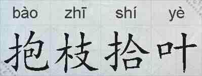 抱枝拾叶的拼音