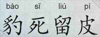 豹死留皮的拼音
