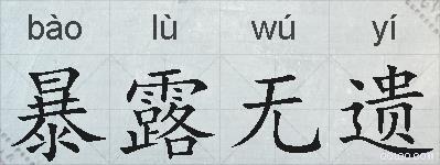 暴露无遗的拼音
