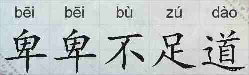 卑卑不足道的拼音