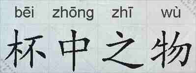 杯中之物的拼音