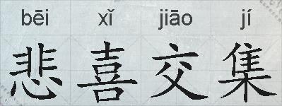 悲喜交集的拼音