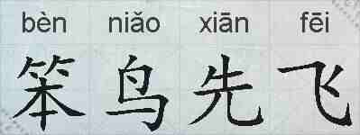 笨鸟先飞的拼音