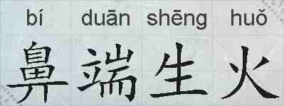 鼻端生火的拼音