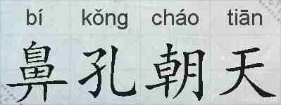 鼻孔朝天的拼音