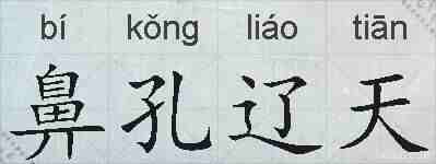 鼻孔辽天的拼音