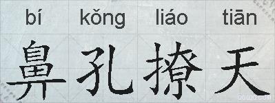鼻孔撩天的拼音