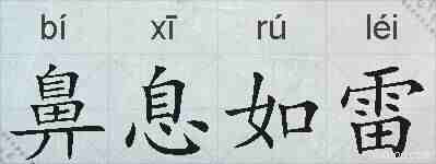 鼻息如雷的拼音