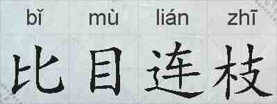 比目连枝的拼音