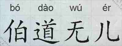 伯道无儿的拼音