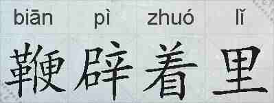 鞭辟着里的拼音