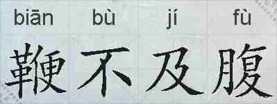 鞭不及腹的拼音