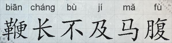 鞭长不及马腹的拼音