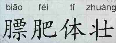 膘肥体壮的拼音