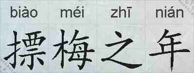 摽梅之年的拼音