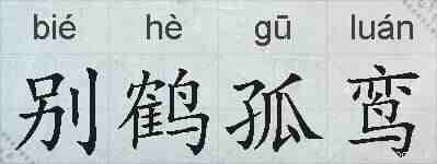 别鹤孤鸾的拼音