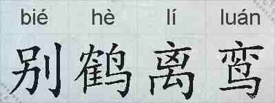 别鹤离鸾的拼音