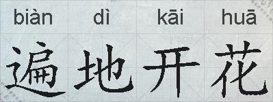 遍地开花的拼音